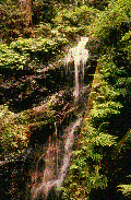 cakep11.gif (29374 bytes)